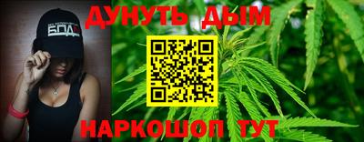 шишки Партизанск